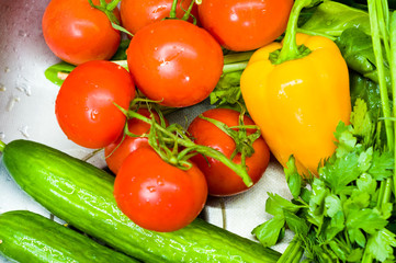 fresh whole vegetables - tomatoes, green onions, cucumbers, yellow bell pepper, parsley and lettuce, close up