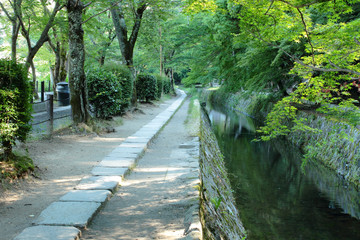 京都　哲学の道