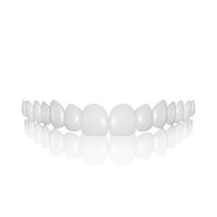 Obraz premium Vector 3d Realistic Render White Denture Set Closeup Isolated. Dentistry and Orthodontics Design. Human Teeth for Medical and Toothpaste Concept. Healthy Oral Hygiene, Jaw Prosthesis, Veneers