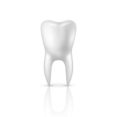 Vector 3d Realistic Render Human Tooth Closeup Isolated on White Background. Dental, Medicine and Health Concept, Design Template. Medical Element, Toothpaste, Healthy Oral Hygiene, Jaw Prosthesis