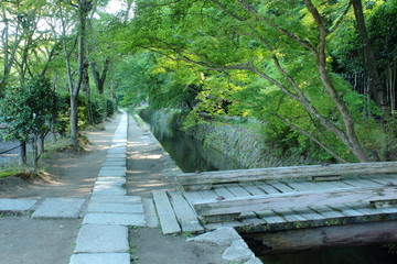 京都　哲学の道