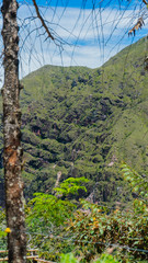 Fototapeta na wymiar Mountain in Colombia