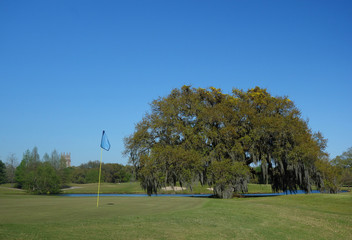 Audubon Park golf course in New Orleans