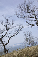 大室山より望む富士山