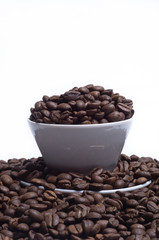 White cup with coffee beans on white background