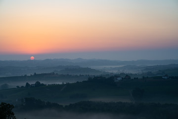 Panorama of Tuscan piedmont vineyard covered in fog at the dawn sunrise