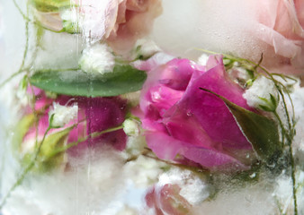 Glass of water with ice cubes and flowers, closeup