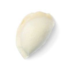 Raw dumpling on white background, top view