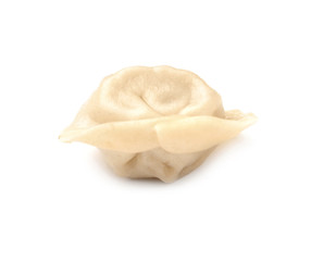 Tasty fresh boiled dumpling on white background