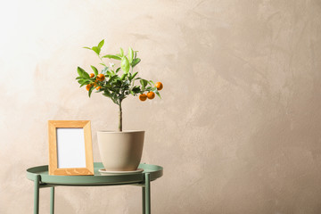 Potted citrus tree and empty frame on table against color background. Space for text