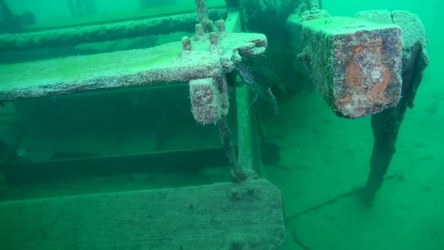 Burbot on the paddlewheel of goldrush ship AJ Goddard