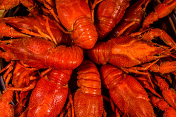 Background of fresh red boiled crayfishes