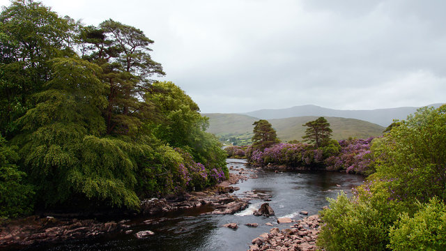Erriff River