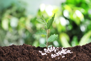 Growing plant and fertilizer on soil against blurred background, space for text. Gardening time