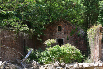 日本の岡山県久米南町の美しい廃墟 Wall Mural Wallpaper Murals 仁 藤原