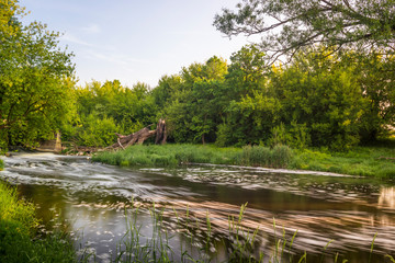 Rzeka Bzura w lesie,  © Piotr Szpakowski