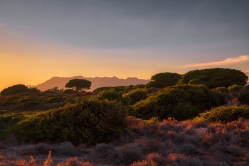Andalusian sunset  landscape
