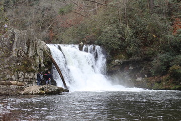 waterfall in forest