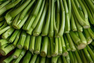 Fresh vegetables