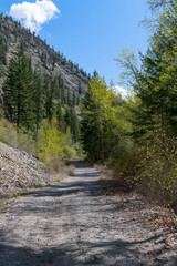 Fototapeta na wymiar A gravel road through the forest in British Columbia, Canada