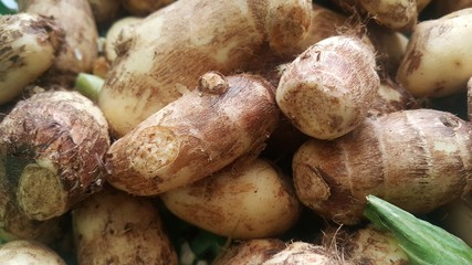 Closeup view of taro vegetable pile for sale in market