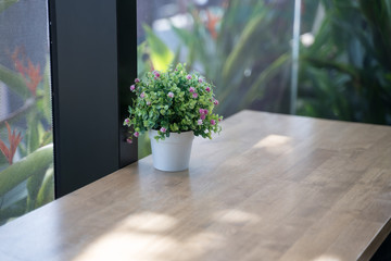 Flower pots are used to decorate the counter on the windows that are glass.