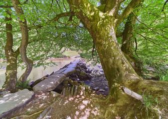 Tarr Steps in Spring, Exmoor National Park, Somerset
