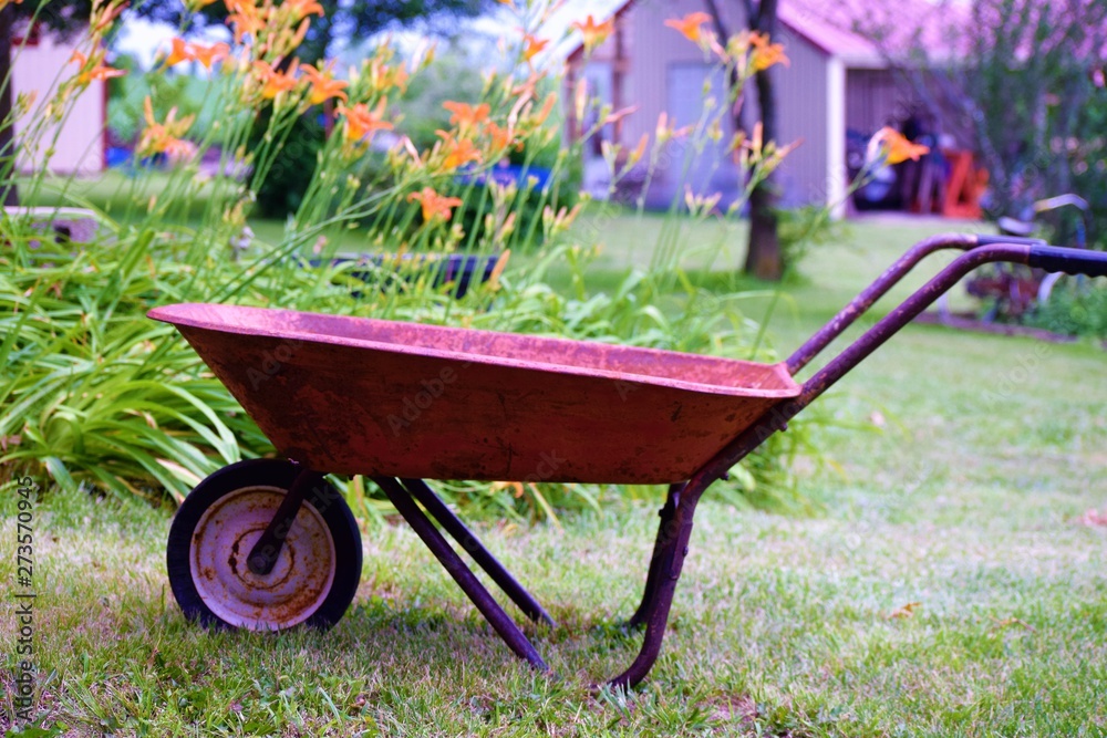 Wall mural Wheelbarrow