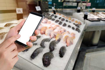 businessman holding blank screen for text on smartphone, mobile, cell phone with blurry freezing cold raw fish shelf background.