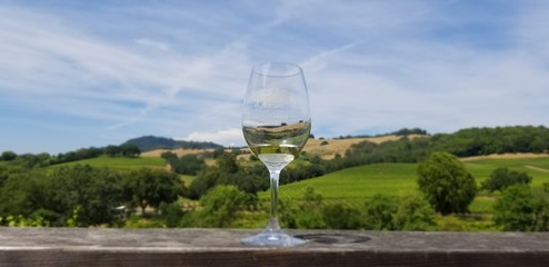 Obraz premium flowers in the garden