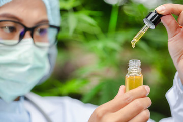 Portrait of scientist with mask, glasses and gloves researching and examining hemp oil in a...