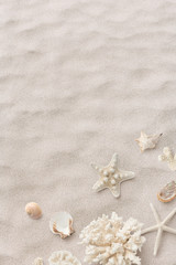 Fototapeta na wymiar beach / sea themed banner or header with beautiful shells, corals and starfish on pure white sand - summer concept