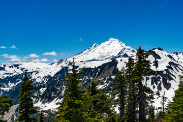 MT Baker, Washington State, Snow Capped Mountain