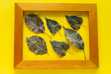 top view of autumn leaves in a golden frame isolated on bright yellow background