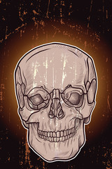Skull with grunge and glowing background