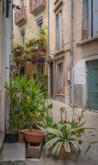 Fototapeta na wymiar Sauve, France - 06 06 2019: Plants on house facade