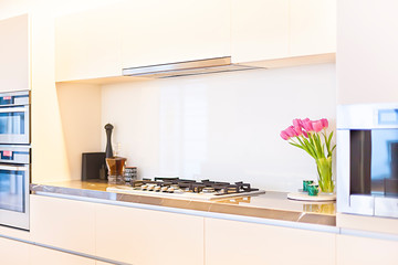Luxury kitchen stove and flowering plant on the counter