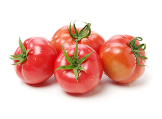 fresh tomato isolated on white background