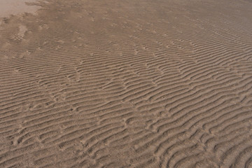 sandy beach on a clear day with wave ridge shaped patterns 