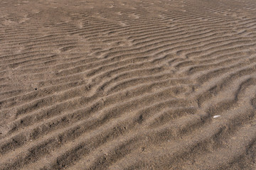 sandy beach on a clear day with wave ridge shaped patterns 