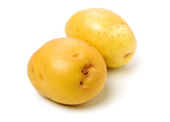 New potato isolated on white background 