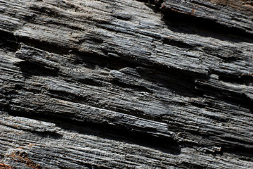 uneven structure of old tree as background