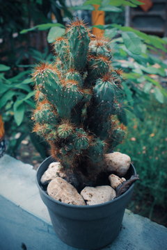Processed with VSCO with u3 preset
