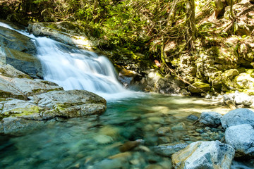Fototapeta premium piękny wodospad w głębi lasu z wodą spływającą po potoku otoczonym zielonymi drzewami i skałami pokrytymi mchem