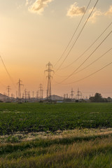 Sunset Landscape of High-voltage power lines in the land around city of Plovdiv, Bulgaria