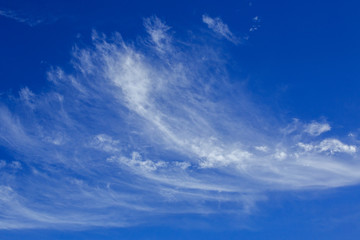 Naklejka na ściany i meble Blue sky with clouds for the background.