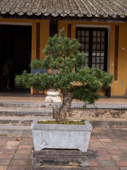 The Imperial City in Hue, Vietnam