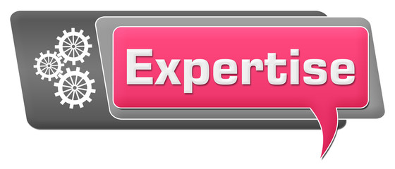 Expertise Pink Grey Comment Symbol Horizontal 