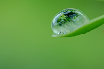 Water drop on a leaf- macro view