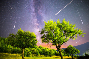 Green trees Milky way night sky falling stars